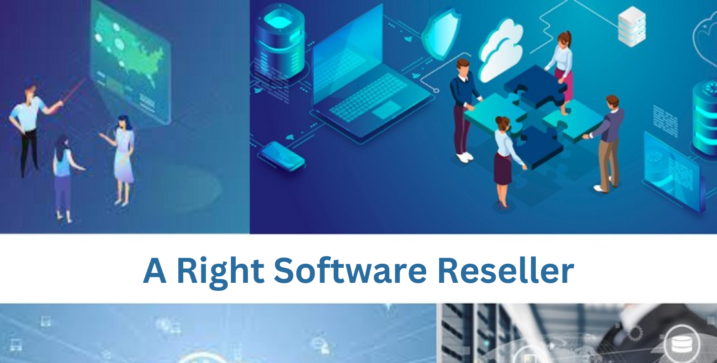 Slash Software Costs: A Right Software Reseller Can Be Your Hero
